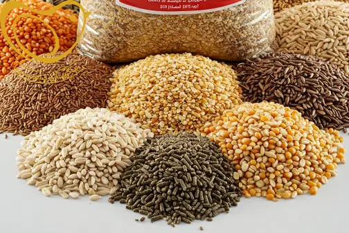 خوراک دام